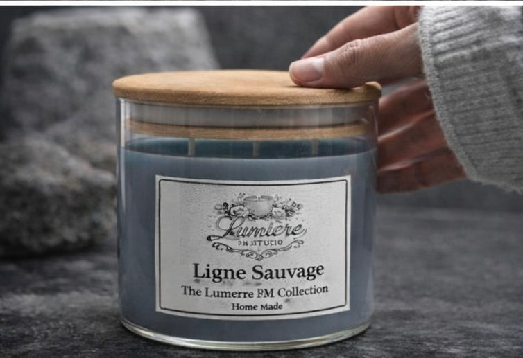 Lumière Ligne Sauvage